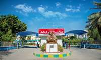 عمل جراحی موفقیت آمیز بیمار بدحال با عفونت شدید پانکراس