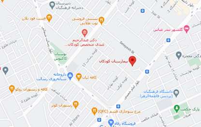 google map image